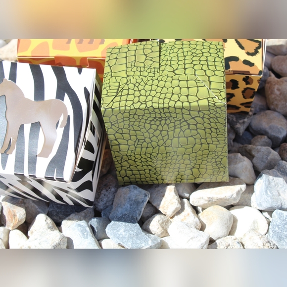 ✨🆕✨ Safari Cardstock Paper Goody Boxes - Picture 6 of 15